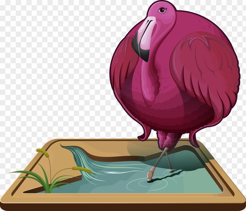 Circular Chicken Illustration Bird Beak Cartoon PNG