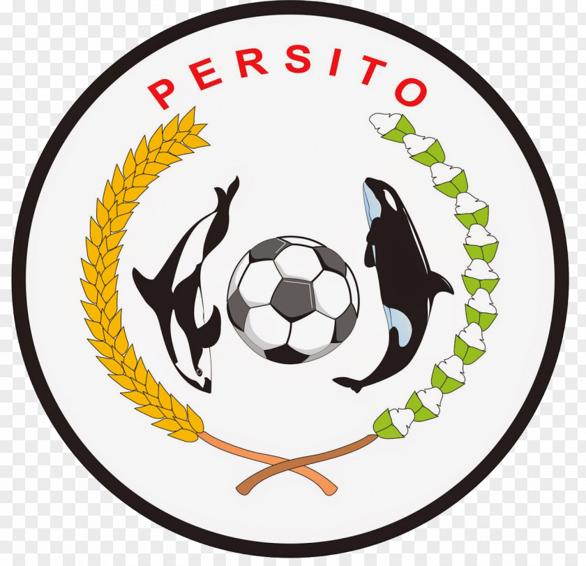 Football Toli-Toli Regency Persito Tolitoli Persipal Palu Poso F.C. Maleo PNG