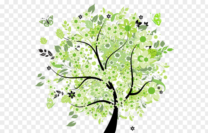 Four Seasons Tree Clip Art PNG