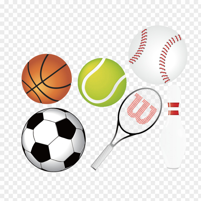 Vector Balls And Rackets Sports Equipment Ball Clip Art PNG