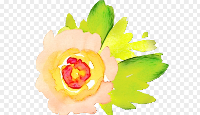 Watercolor Paint Cut Flowers Yellow Petal Clip Art Flower Plant PNG