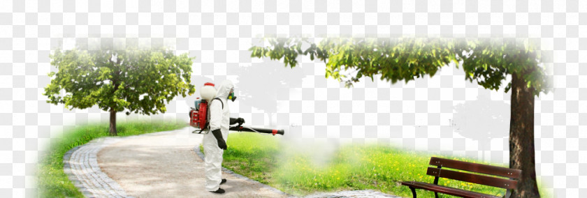 Cockroach Pest Control Mosquito Insect PNG