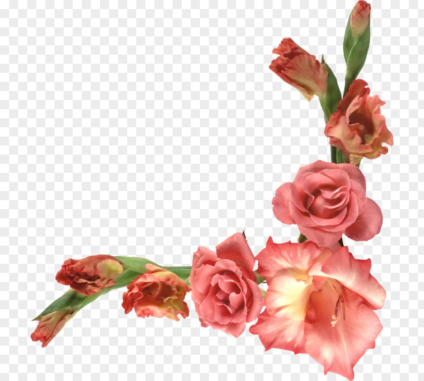 Flower Garden Roses Floral Design Cut Flowers Bouquet PNG