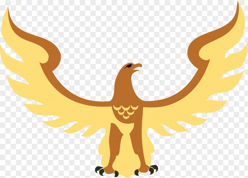 Hawk Bird Eagle Clip Art PNG