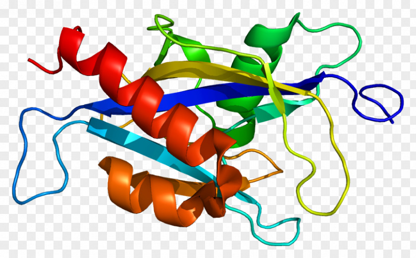 NUDT2 Protein Nudix Hydrolase Gene Enzyme PNG