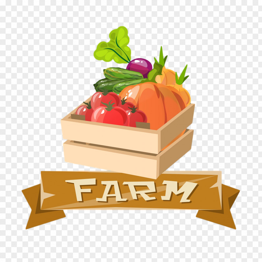 Thanksgiving Autumn Harvest PNG