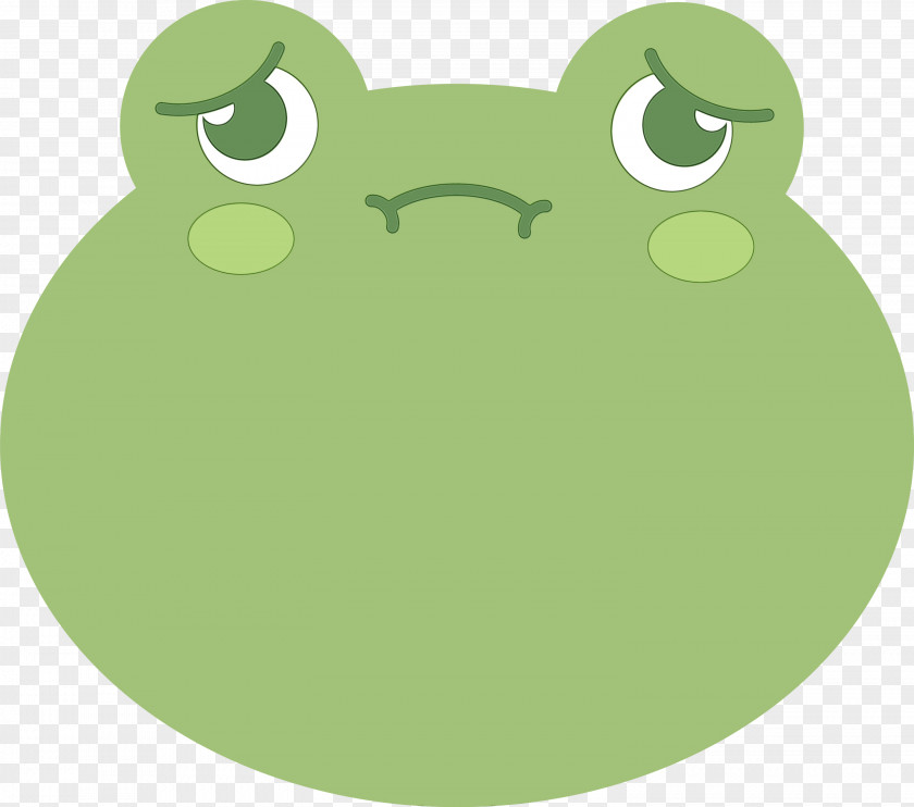 Tree Frog Frogs Green Meter PNG