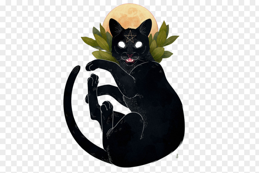 Black Cat Kitten Felidae Familiar Spirit PNG