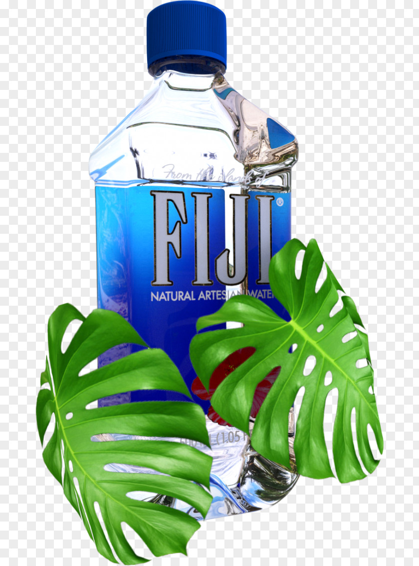 Fiji Water Bottles Bottled FIJI PNG