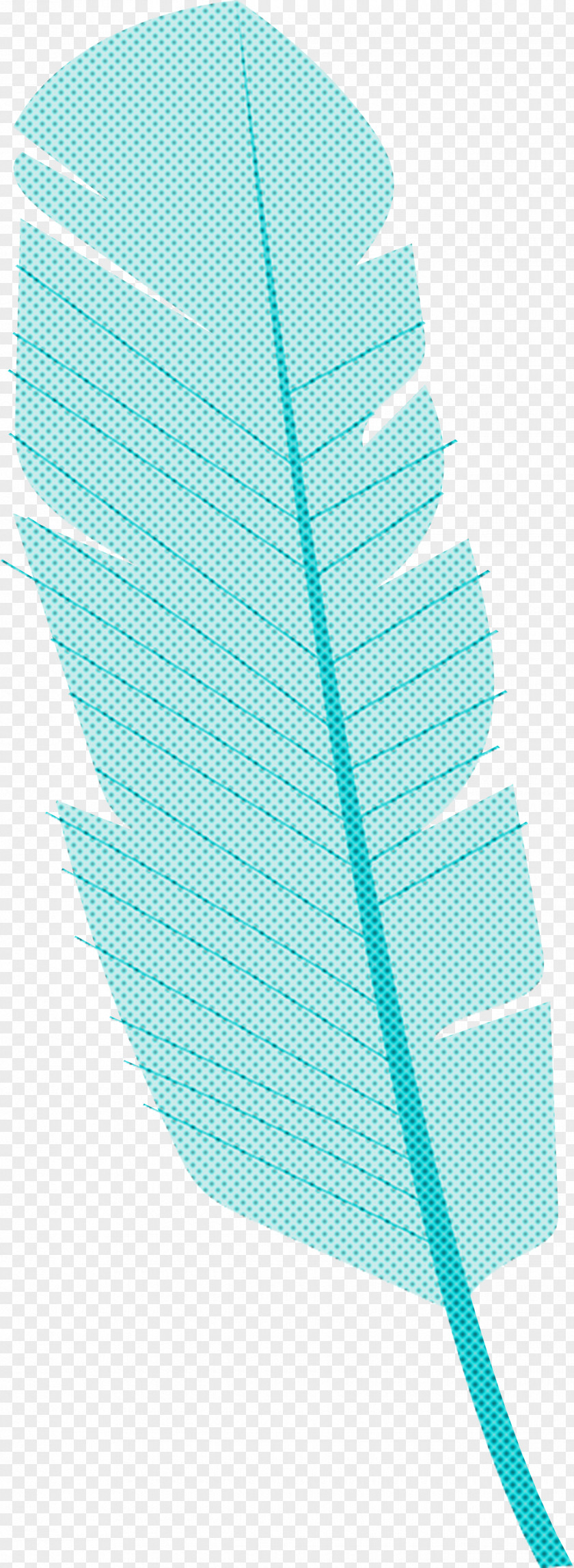 Leaf Turquoise Line Plants Biology PNG