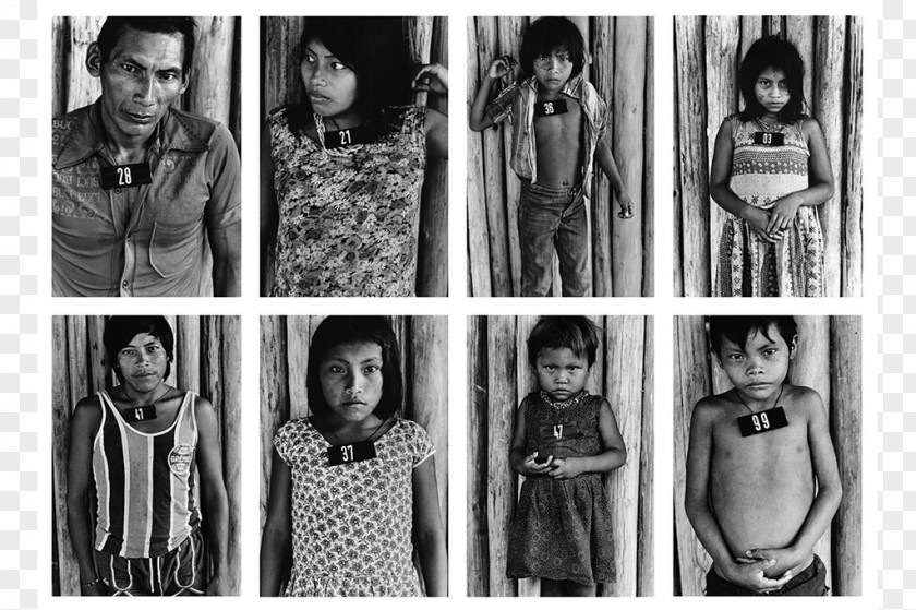 Photographer Inhotim Photography Yanomami Art PNG