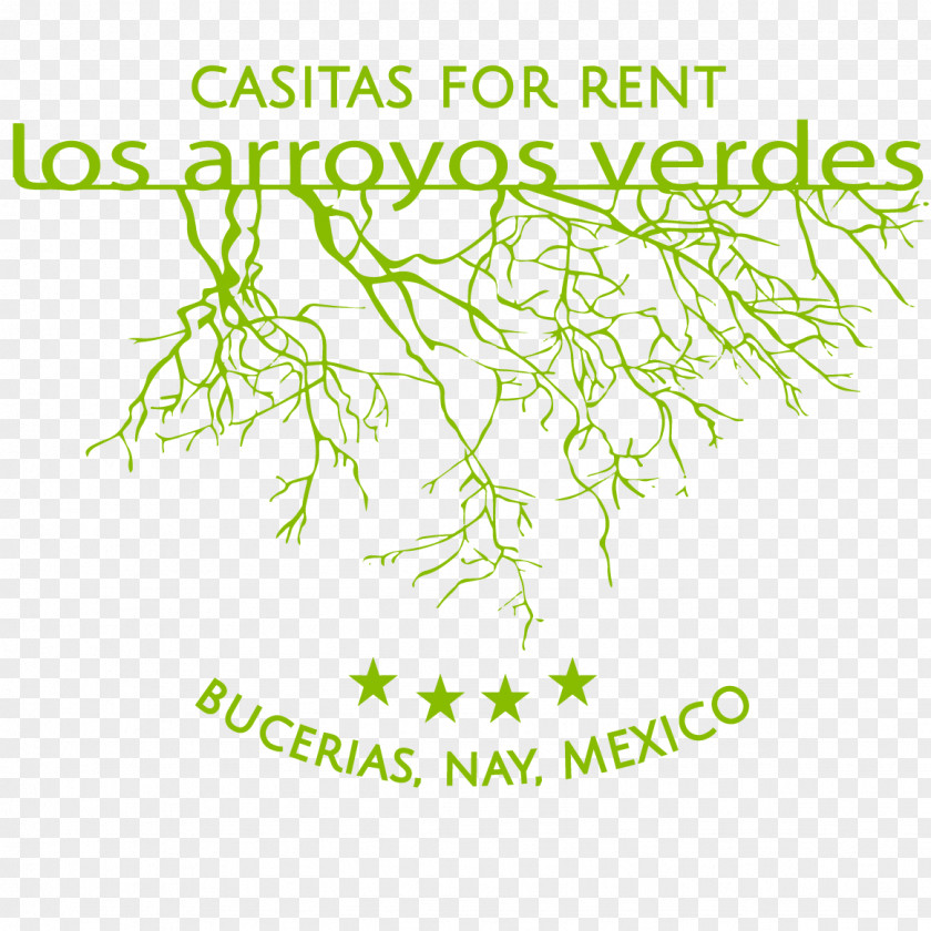 Preferential Activities Los Arroyos Verdes Bucerías, Nayarit Meter Botany Plant Stem PNG