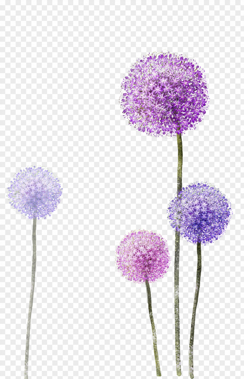Purple Dandelion Paper Wallpaper PNG