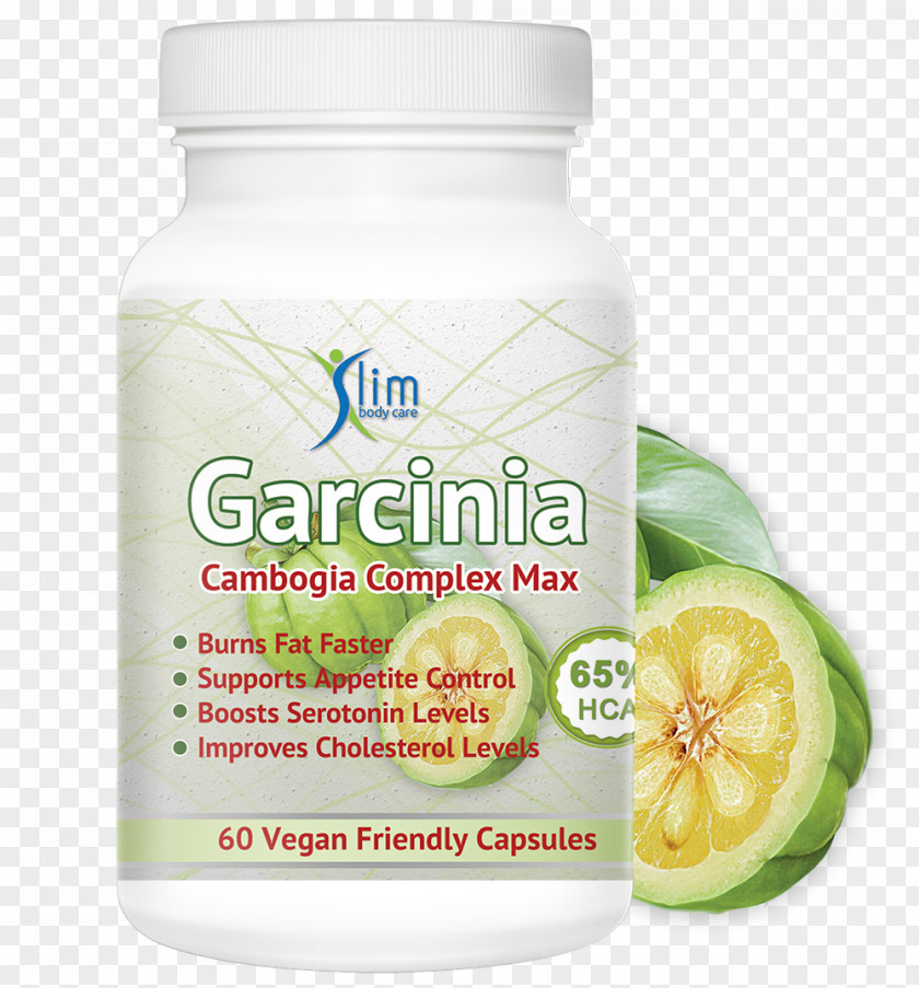 Garcinia Gummi-gutta Flavor Anorectic Fruit PNG