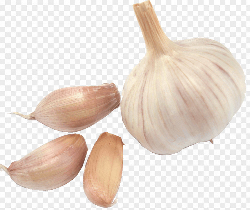 Garlic Satsivi Gajar Ka Halwa Vegetable PNG