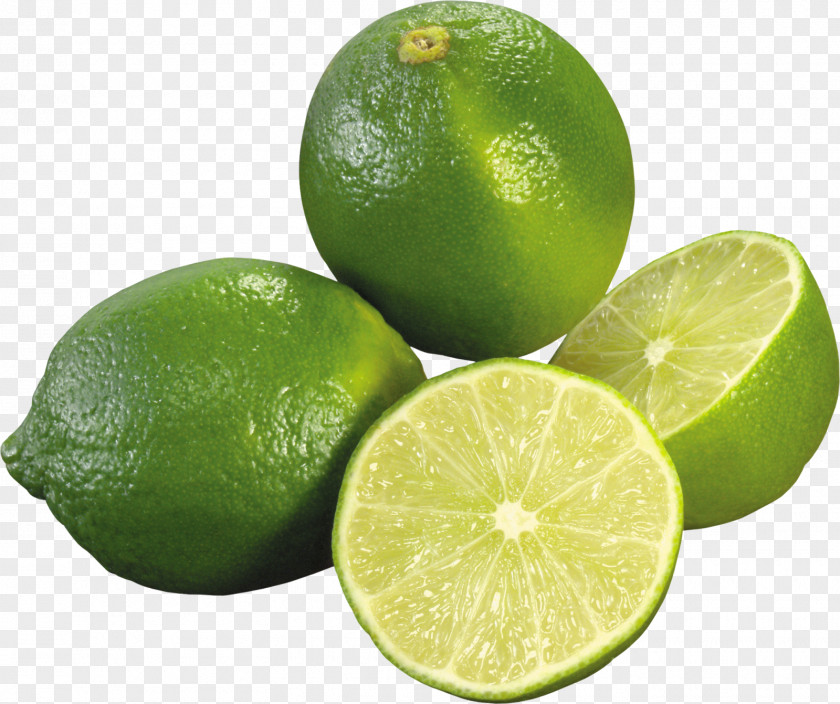 Lime Lemon-lime Drink Key Squash PNG
