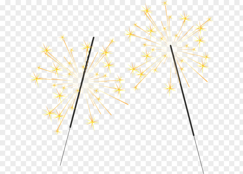 Line Yellow Sparkler Plant Dandelion PNG