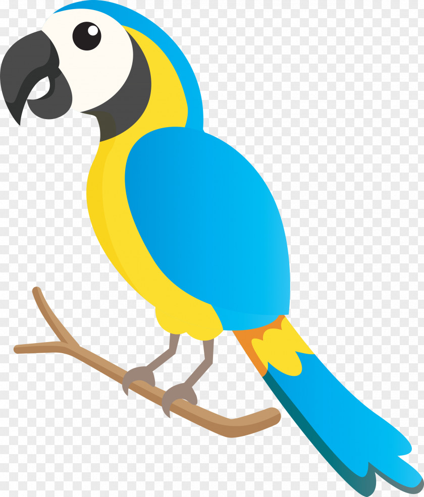Macaw Parakeet Beak Animal Figurine Biology PNG