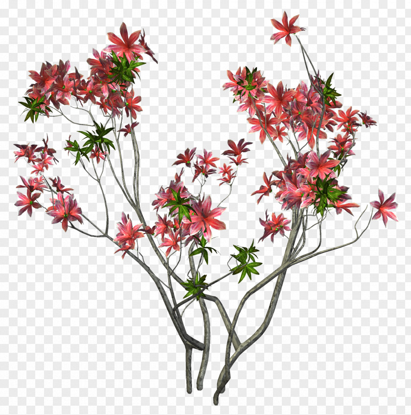 Plant Title Box Branch Tree Cut Flowers PNG