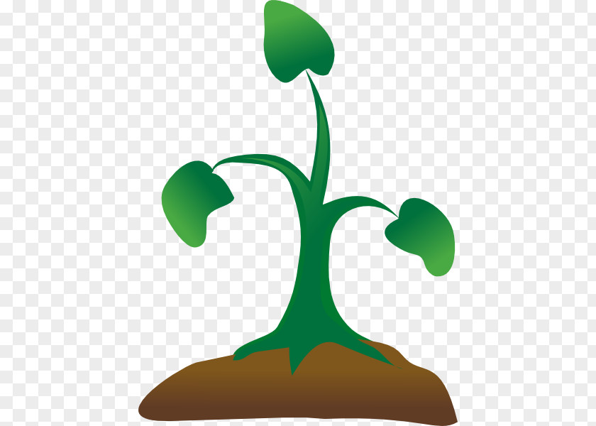 Sapling Cliparts Seedling Sprouting Tree Clip Art PNG