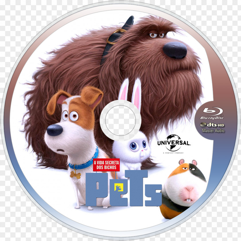 The Secret Life Of Pets Universal Pictures Illumination Snowball Animated Film PNG