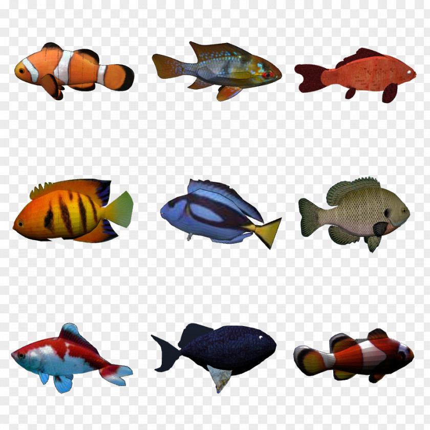 Fish Tank Object Detection Freshwater Exemplar Theory PNG