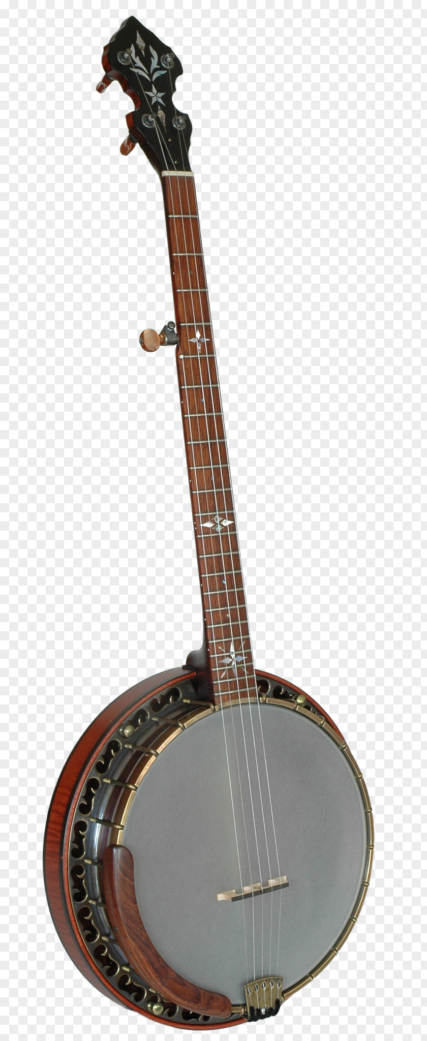 Musical Instruments Banjo Guitar Uke Cavaquinho Cuatro PNG