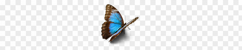 Use Obstacles To Your Benefit Butterfly Effect Body Jewellery BookLife Is Strange Catching Courage: Understand Fears, Control Anxieties, And Make Better Decisions PNG