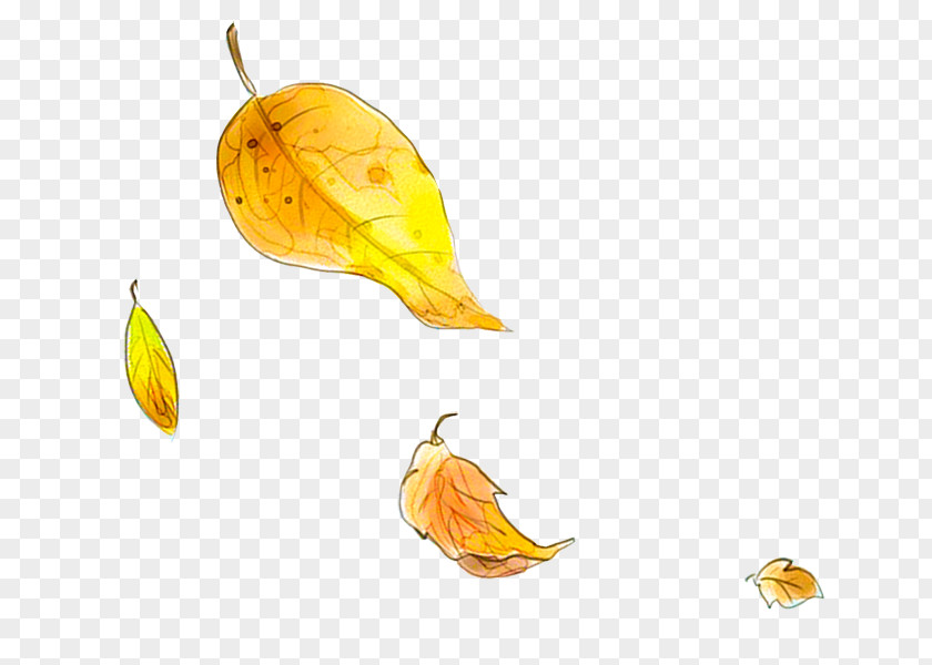 Autumn Leaves Leaf Yellow PNG