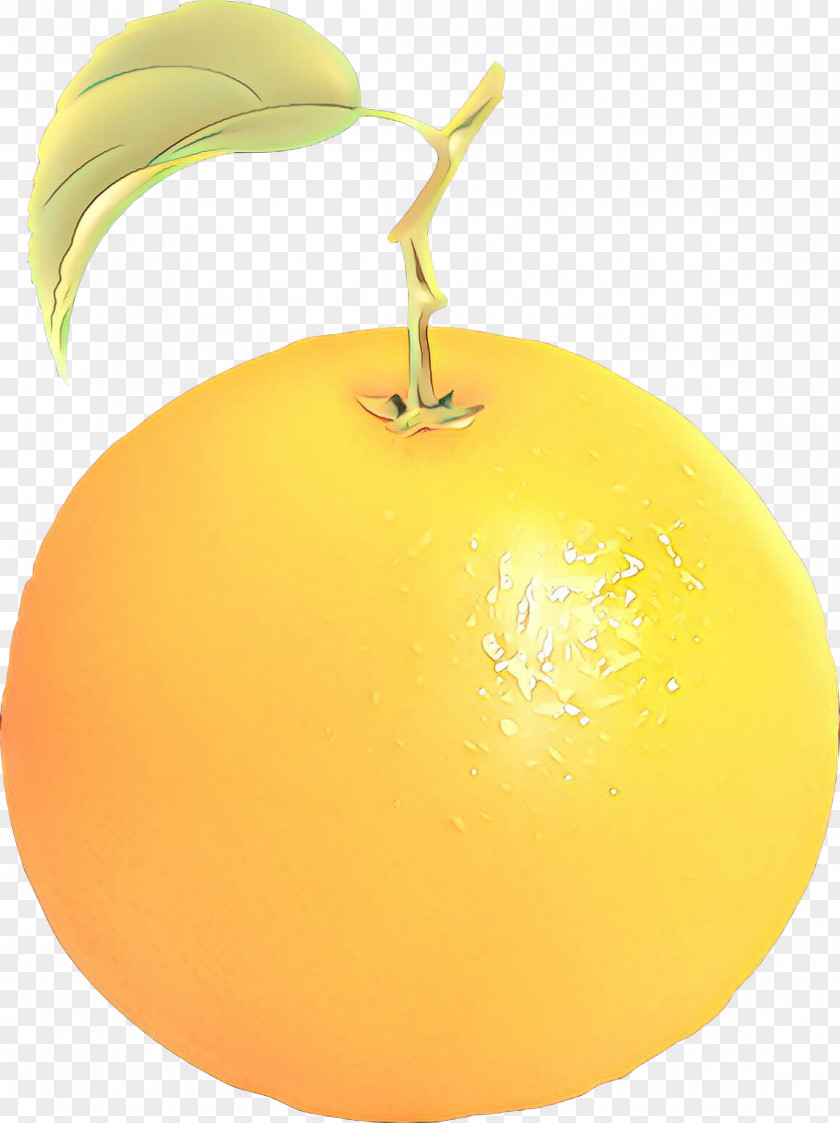 Citrus Apple Orange S.A. PNG