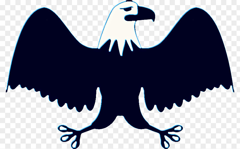 Falconiformes Logo Eagle Drawing PNG