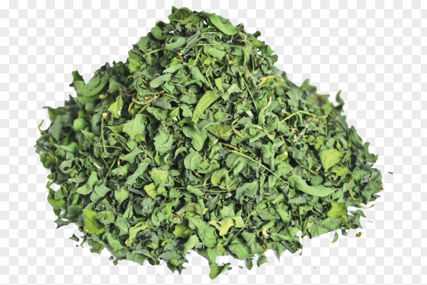 Kale Smoothie Leaf Vegetable Juice PNG
