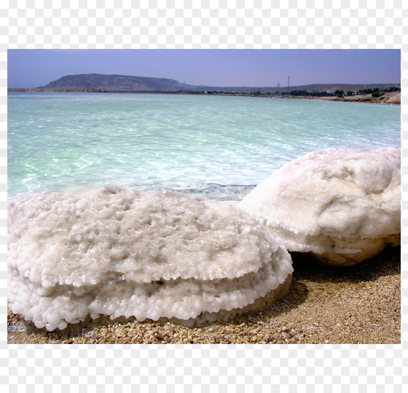 Sea Dead Salt Shore Salinity PNG