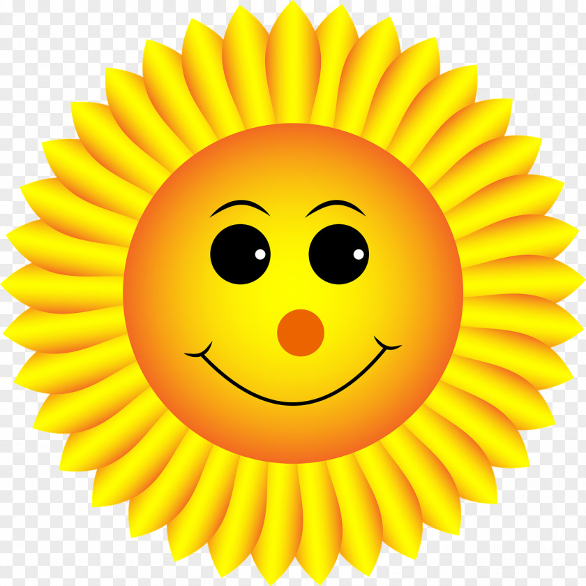 Smile Sunflower Smiley Emoticon Clip Art PNG