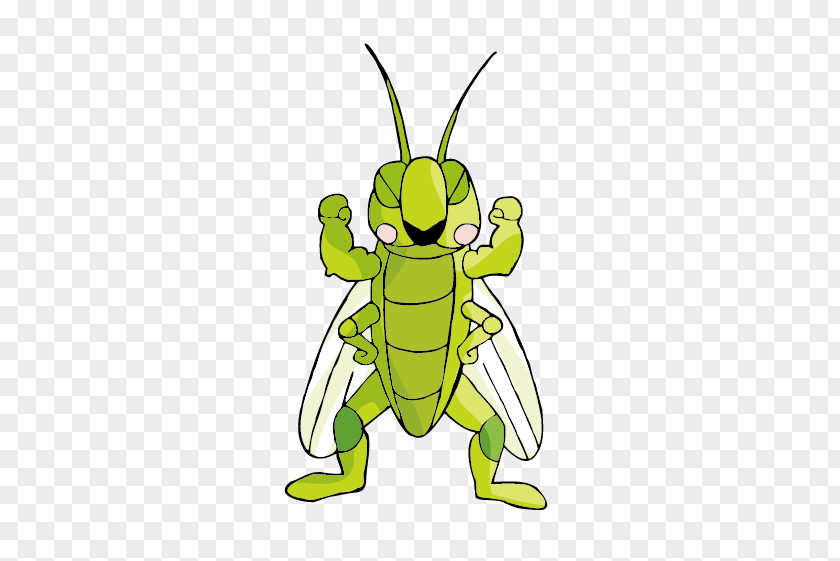 Cartoon Grasshopper Locust Illustration PNG