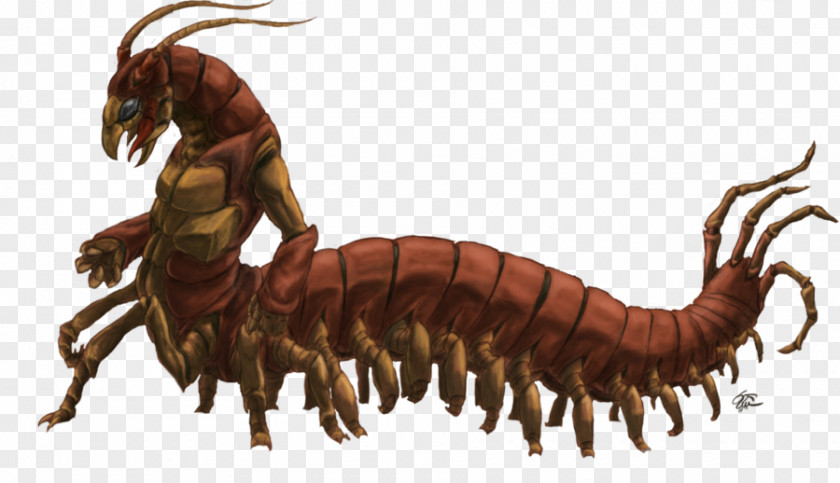 Centipedes Millipede Desmoxytes Purpurosea The Human Centipede Drawing PNG