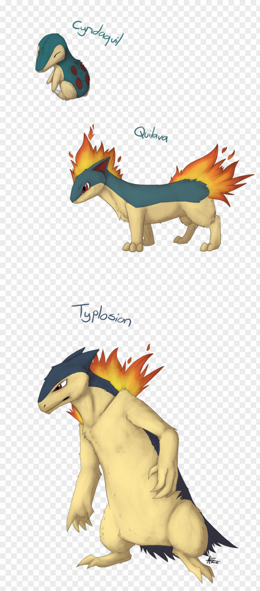 Cyndaquil Evolution Totodile Chikorita Quilava PNG