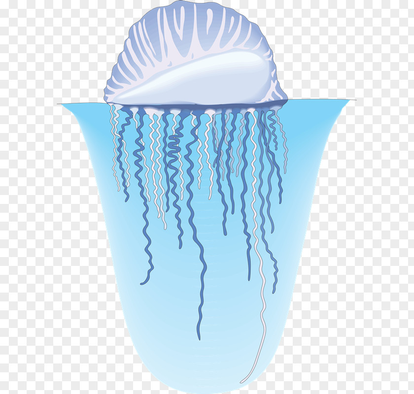 Mol Jellyfish Nekton Clam Organism Sea PNG