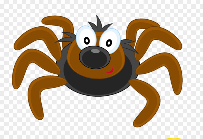 Spider Insect Butterfly Animation Clip Art PNG