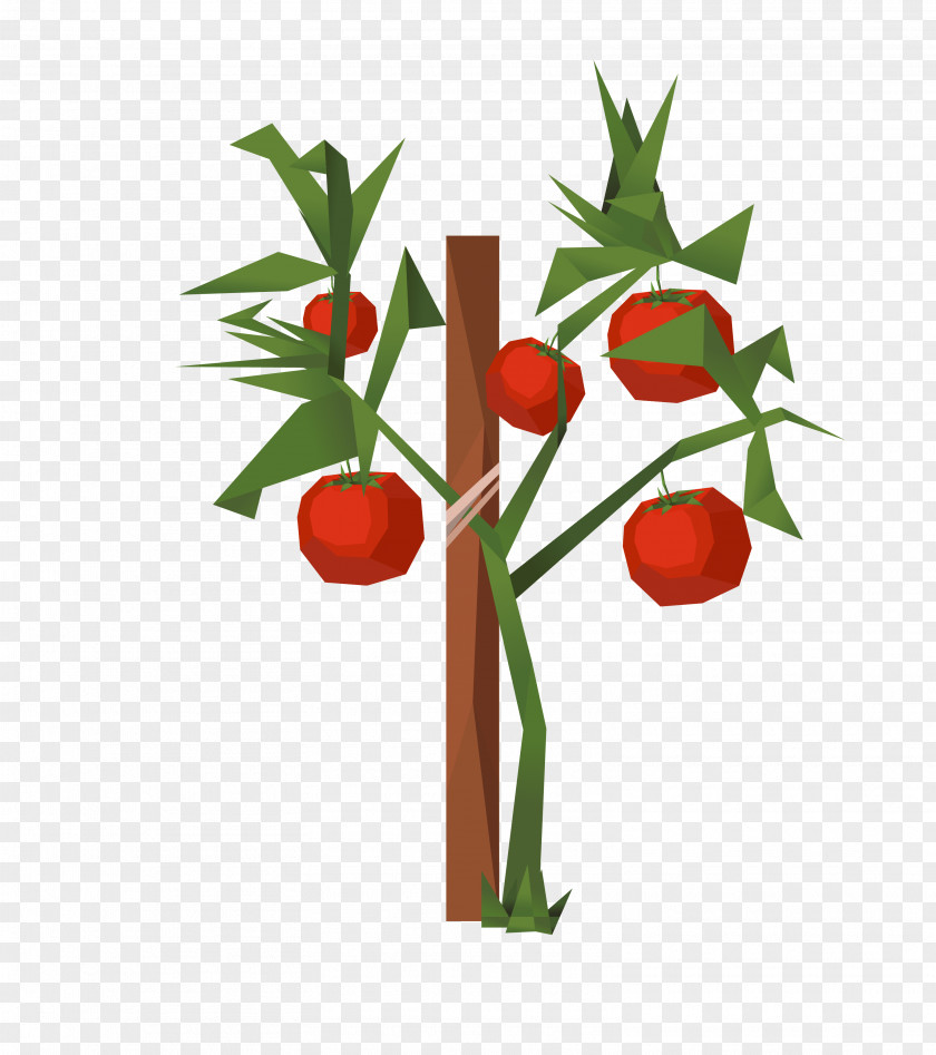 Vector Color Abstract Apple Tree Tomato Clip Art PNG