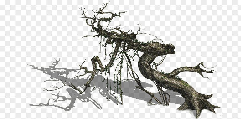 Crooked Tree Vine Twig Common Grape PNG