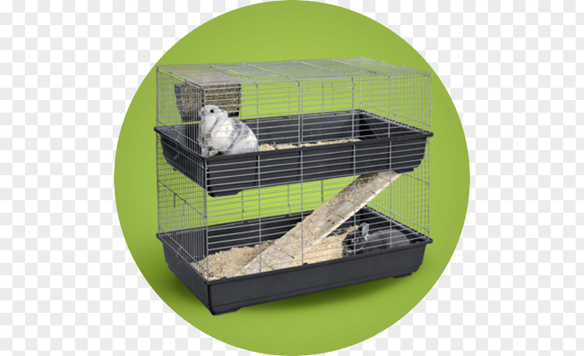 Double Cage Guinea Pig Cat Tree Rodent PNG
