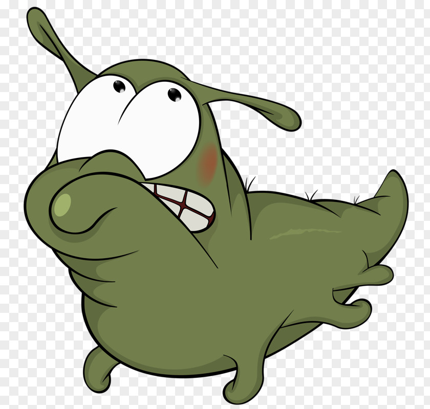 Green Bug Cartoon Animation Illustration PNG