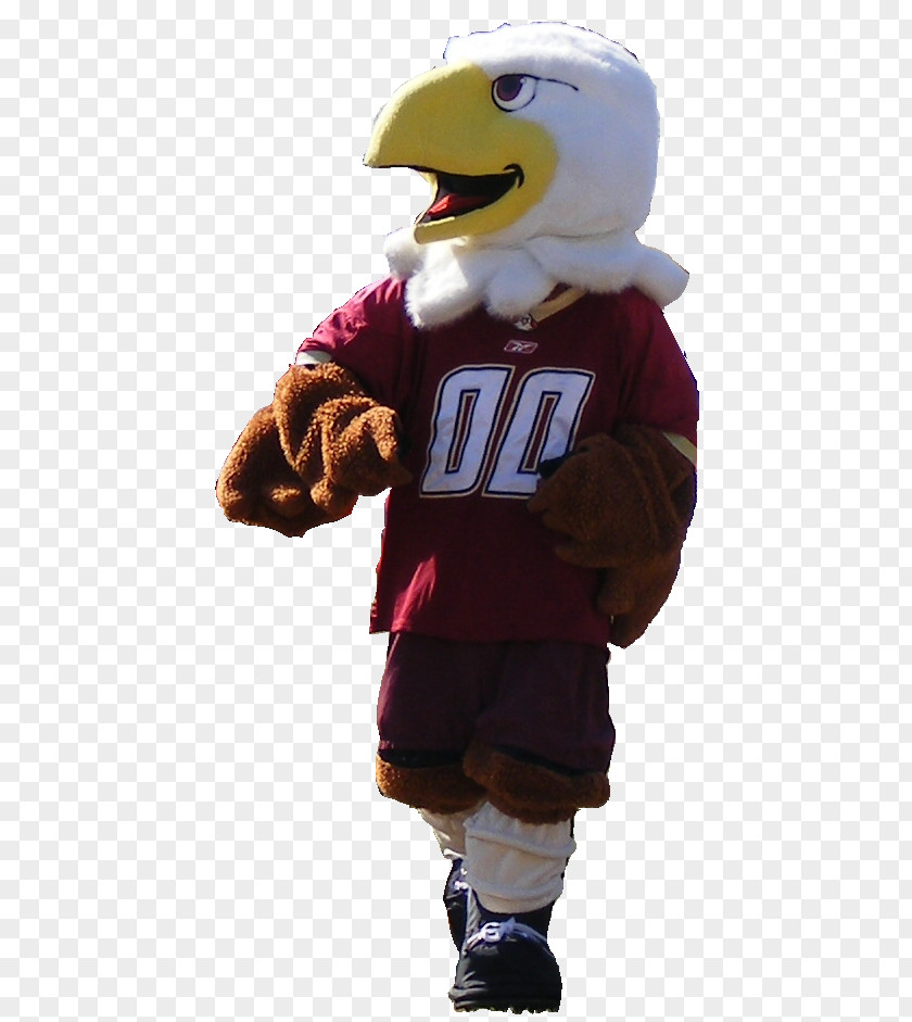 Virginia Tech Mascot Boston College Baldwin The Eagle Costume PNG