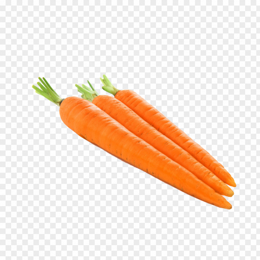 Carrot Bell Pepper Vegetable Fruit Frutti Di Bosco PNG