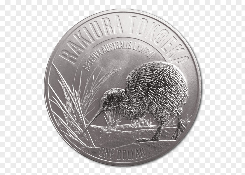 Silver New Zealand Coin University Of North Carolina At Chapel Hill Echidna PNG