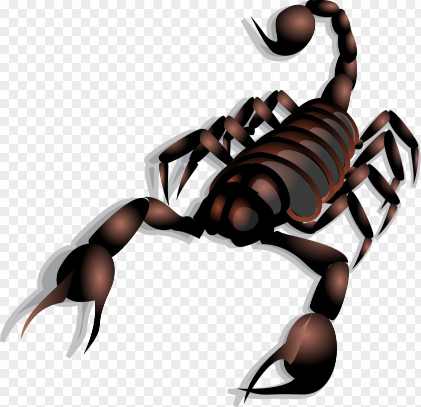 Vector Scorpion Clip Art PNG