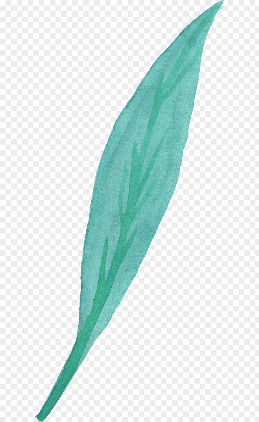 Watercolor Leaves Transparent Painting Leaf PNG
