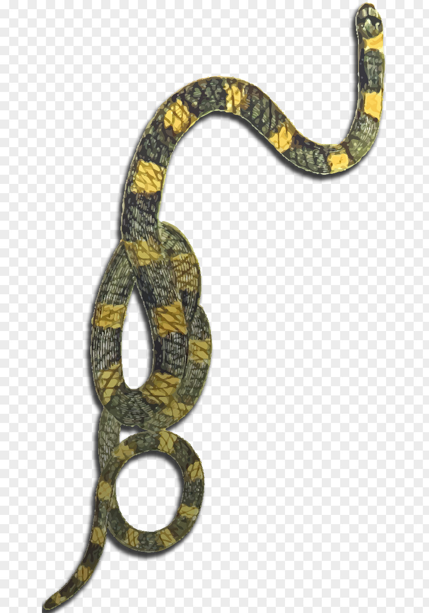 Yellow And Black Flyer Boa Constrictor Kingsnakes Dungeons & Dragons Rattlesnake PNG