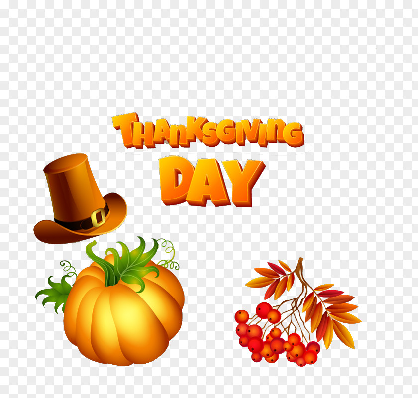 Creative Pumpkin Festival Thanksgiving Turkey PNG